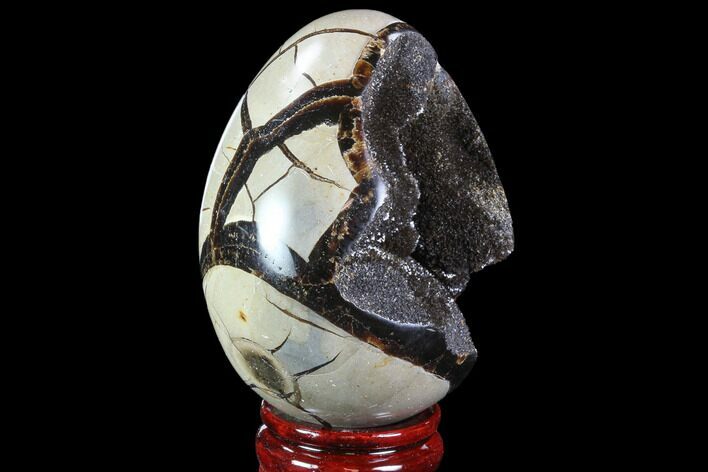 Septarian Dragon Egg Geode - Black Crystals #88354